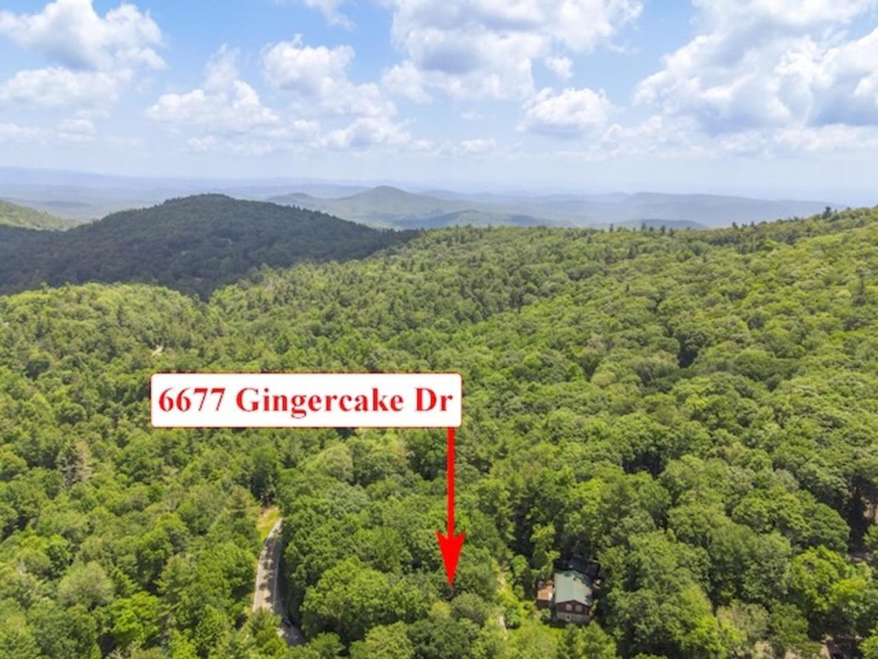 Gingercake Mtn Cottage At Linville Gorge - Wood Burning Fireplace Linville Falls Exteriör bild