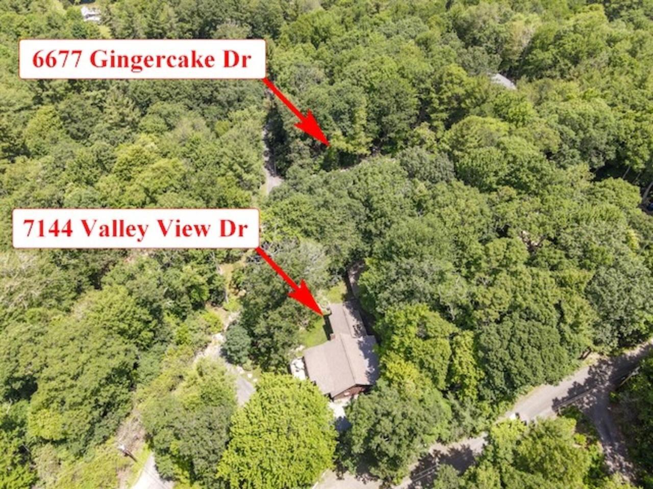 Gingercake Mtn Cottage At Linville Gorge - Wood Burning Fireplace Linville Falls Exteriör bild