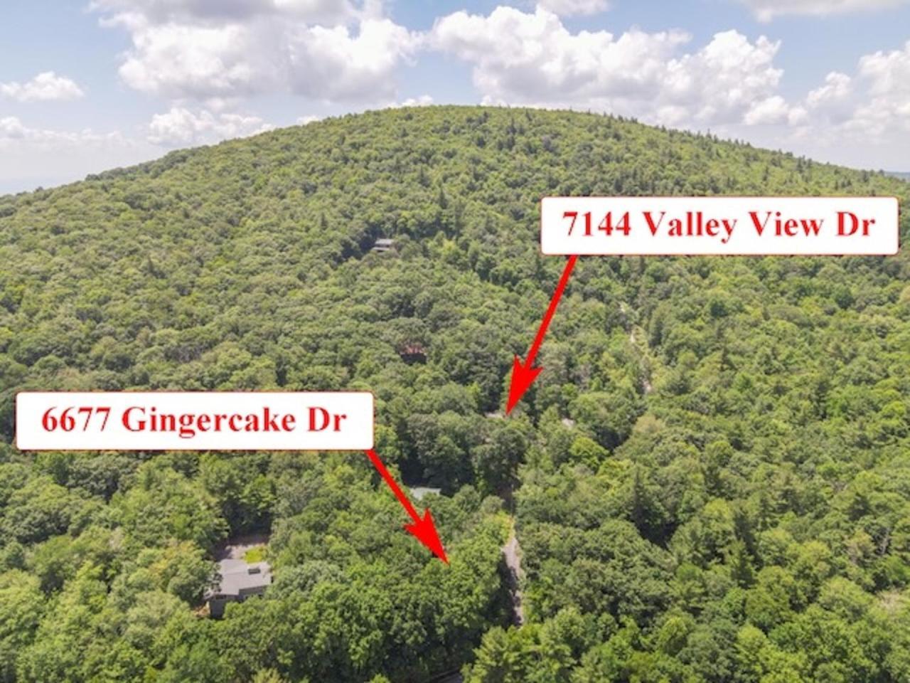 Gingercake Mtn Cottage At Linville Gorge - Wood Burning Fireplace Linville Falls Exteriör bild